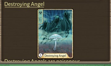 Morels - Destroying Angel