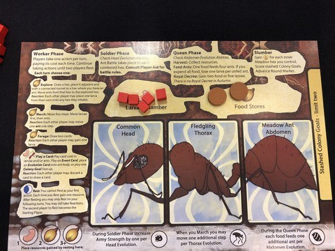 March of the Ants - Nest