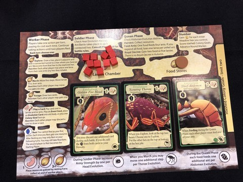 March of the Ants - Nest with all Adaptations