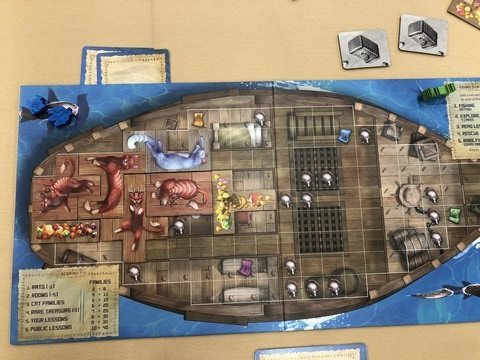 Isle of Cats - Ship 1