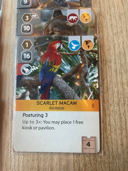 Ark Nova - Macaw