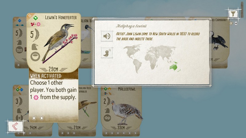 Wingspan Oceania app - Lewin's Honeyeater bird