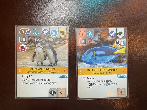 Ark Nova - Marine Worlds - Aquarium Animals