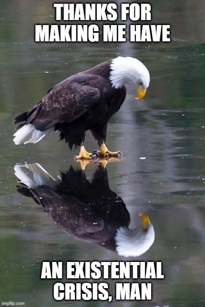 Thanks for Making Me Have an Existential Crisis, Man