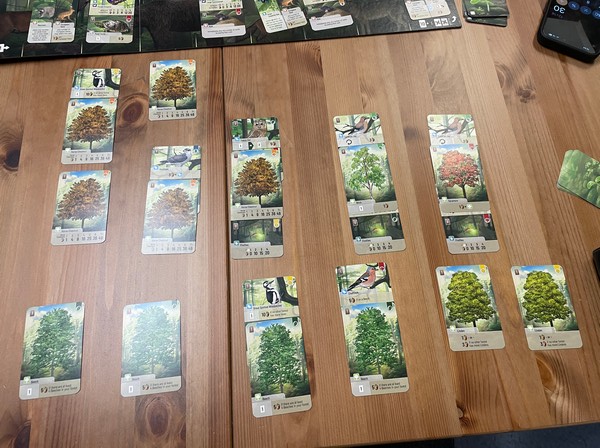 Forest Shuffle - Full Tableau