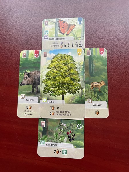 Forest Shuffle - Completed Tree