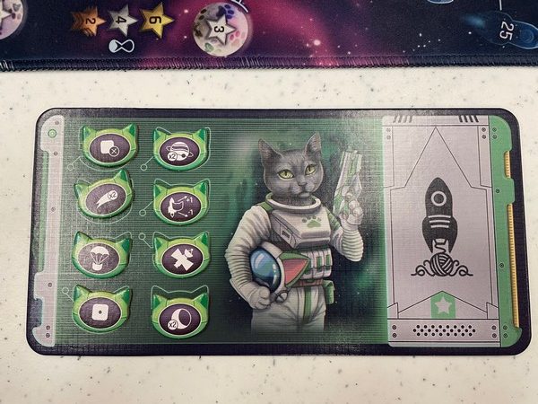 MLEM - Cat astronauts