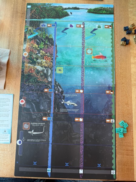 Finspan - Player Board