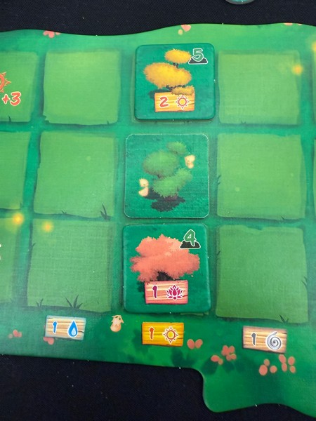 Living Forest - Forest