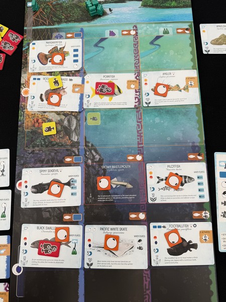 Finspan - Player Board