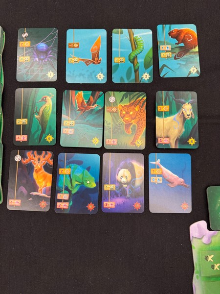 Living Forest - Market