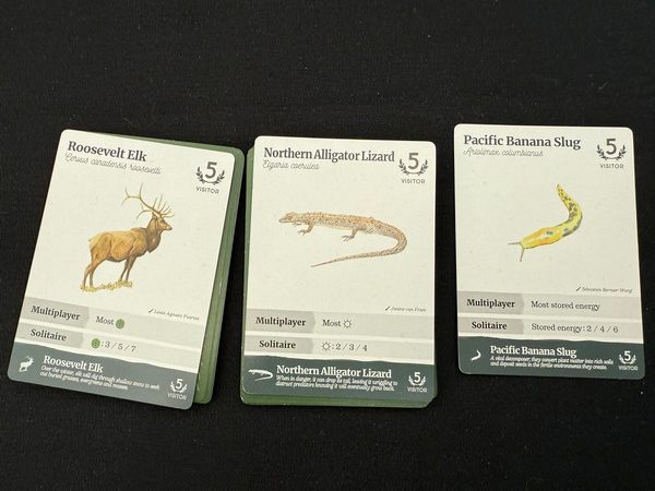 Reforest - End of Round cards