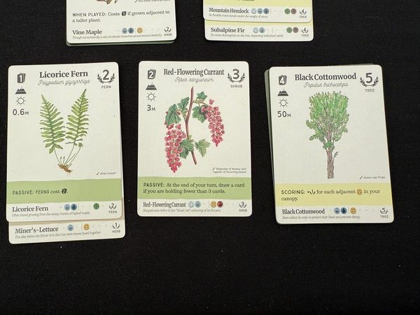 Reforest - Cards