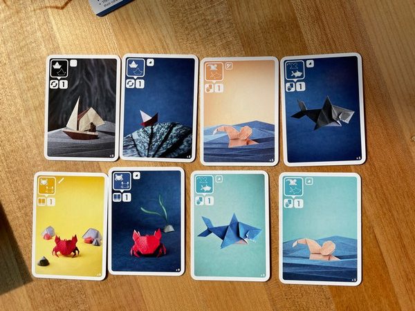 Sea Salt & Paper - Cards