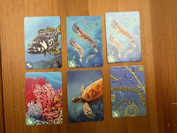 Ecosystem: Coral Reef - in-game tableau