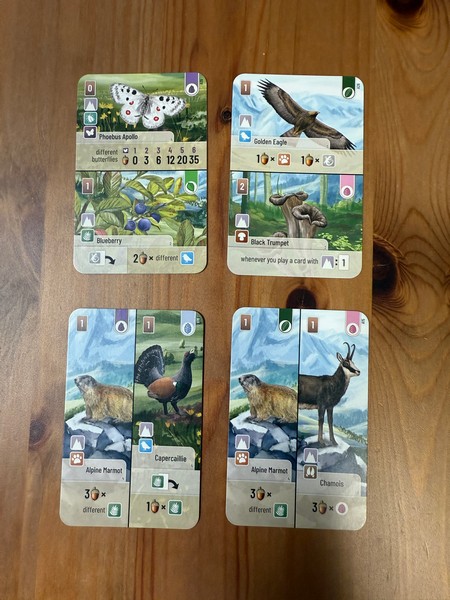Forest Shuffle - Alpine Animals