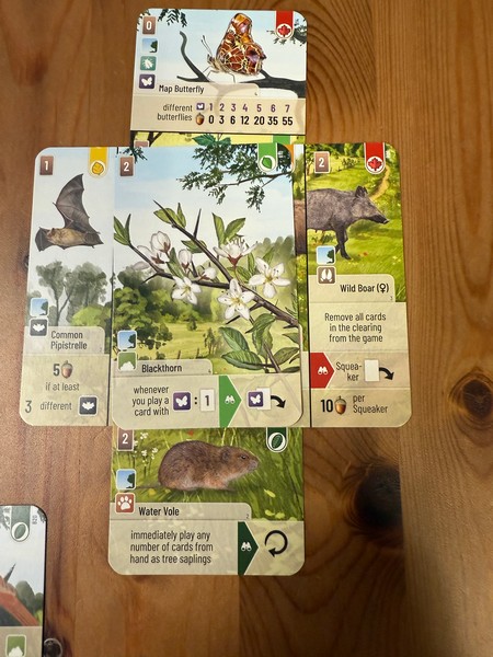 Forest Shuffle - Woodland Edge - Full Shrub