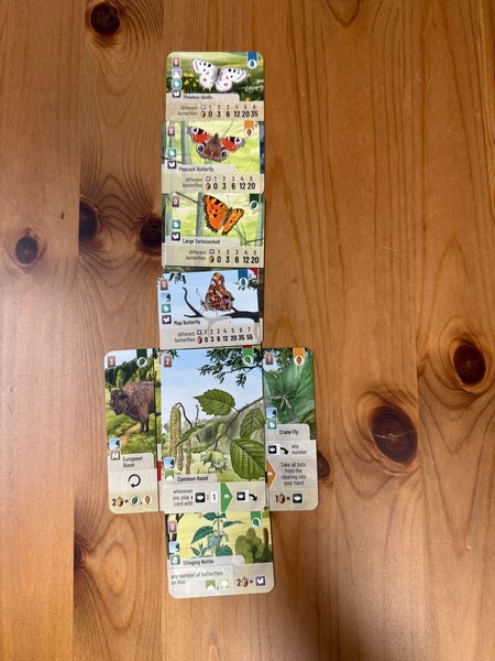 Forest Shuffle - Woodland Edge - Butterflies