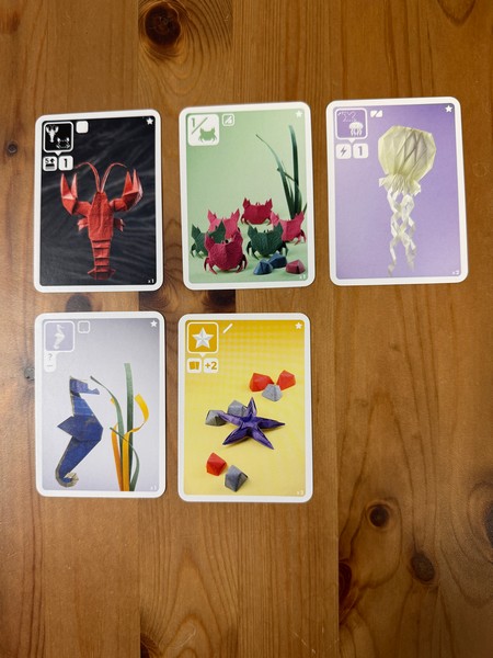 Sea Salt & Paper - Extra Salt - cards